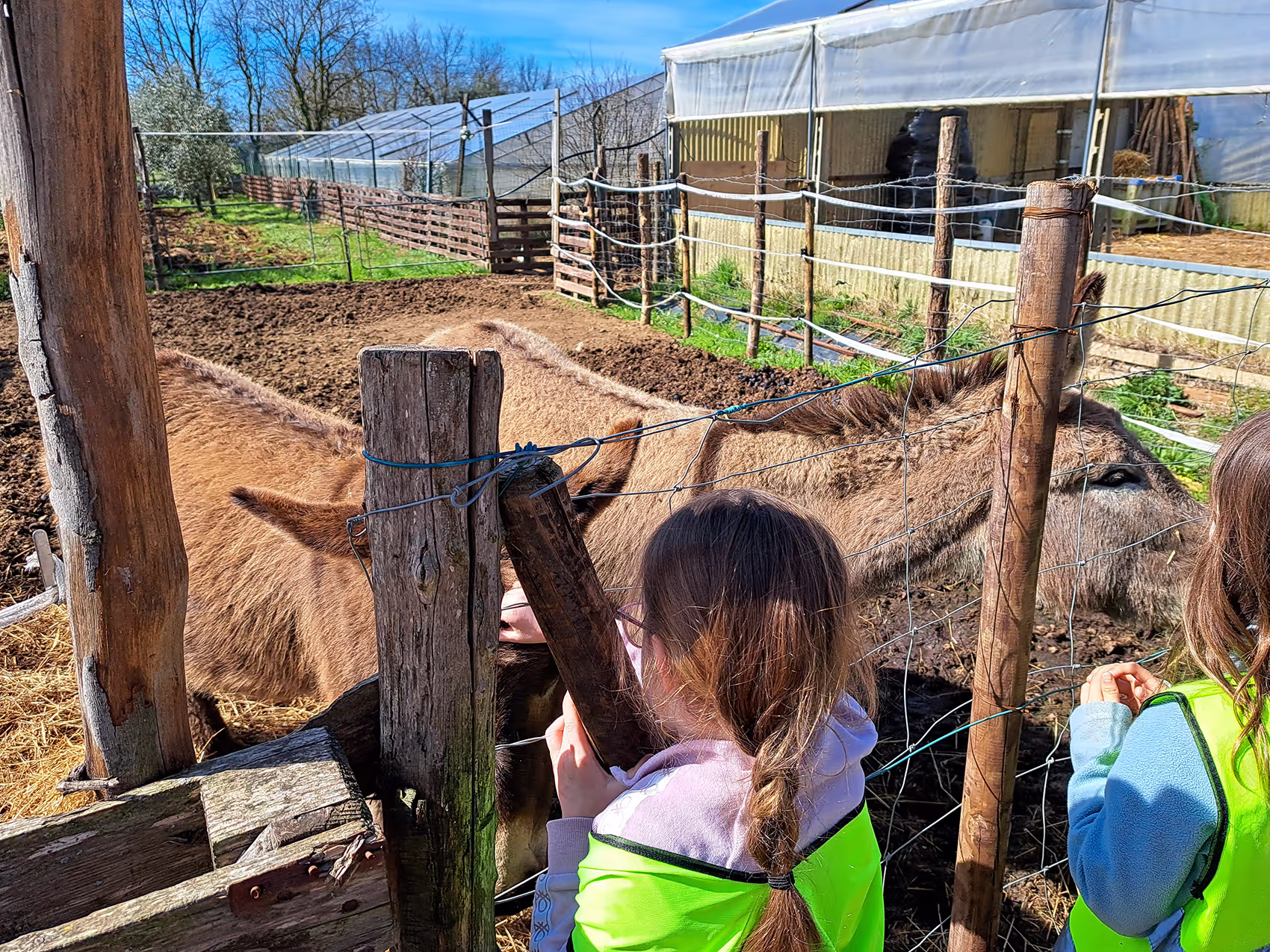 Boundless Education Field Trips: Take A Tour With Us!